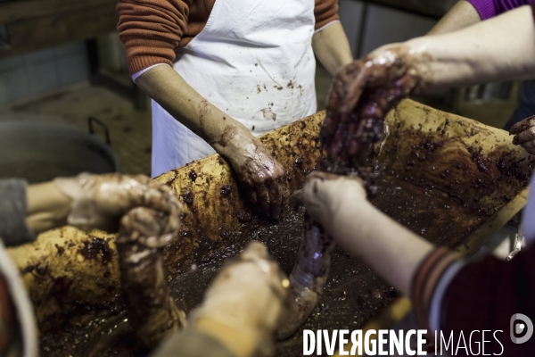 Tradition du  tue cochon  dans les Landes