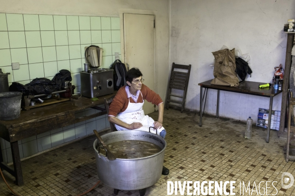 Tradition du  tue cochon  dans les Landes