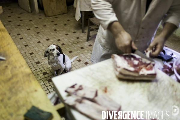 Tradition du  tue cochon  dans les Landes