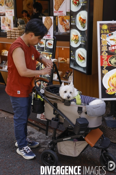 Yokohama/japon