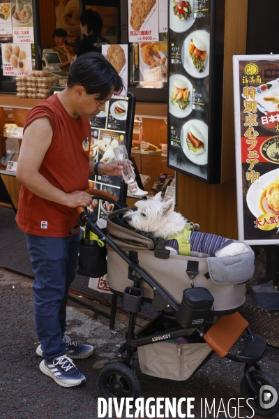 Yokohama/japon