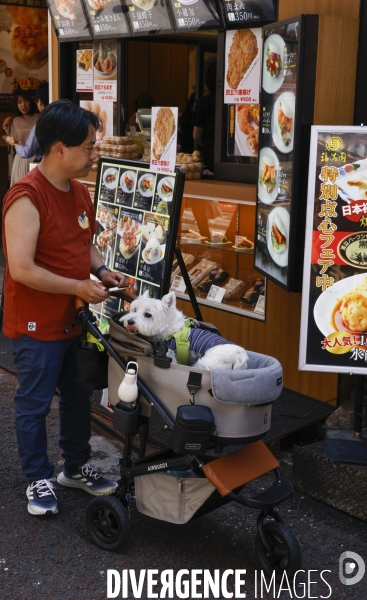 Yokohama/japon
