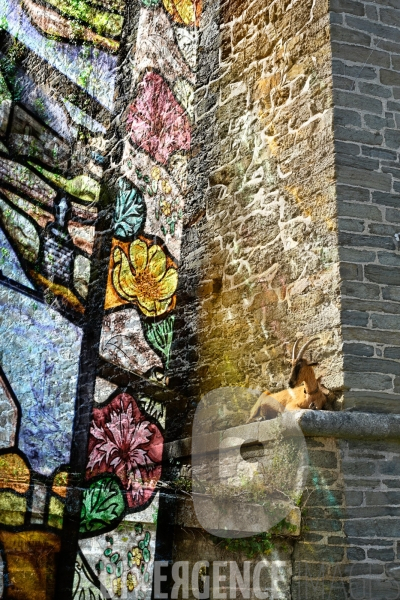 Impressions sur Belle-Ile