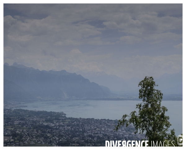 Un Conte en Suisse Bonus