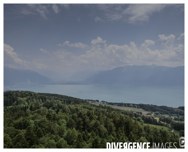 Un Conte en Suisse Bonus
