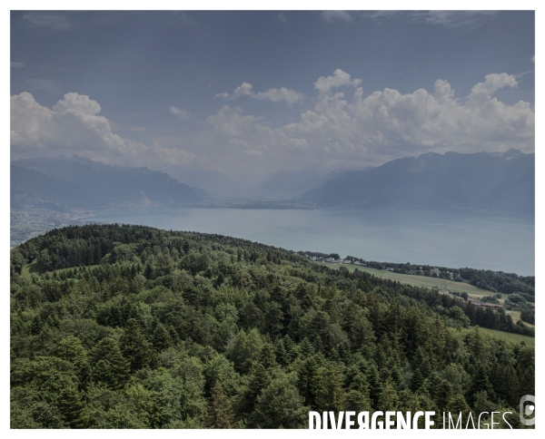 Un Conte en Suisse Bonus