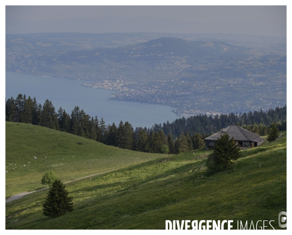 Un Conte en Suisse Bonus
