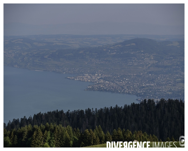 Un Conte en Suisse Bonus