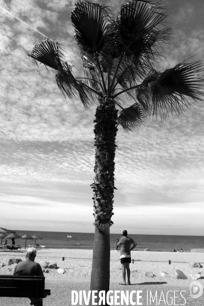 Portugal Algarve Faro