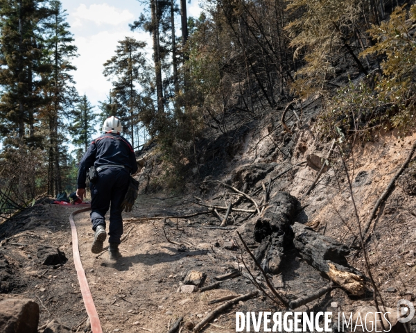 Feux de foret - Vosges