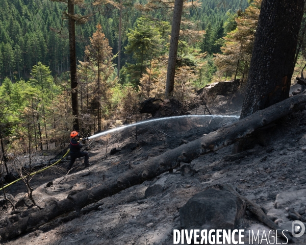 Feux de foret - Vosges