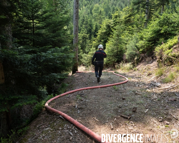 Feux de foret - Vosges