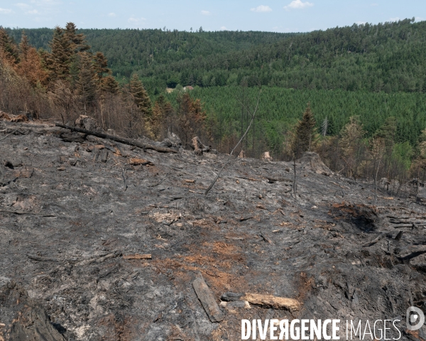 Feux de foret - Vosges