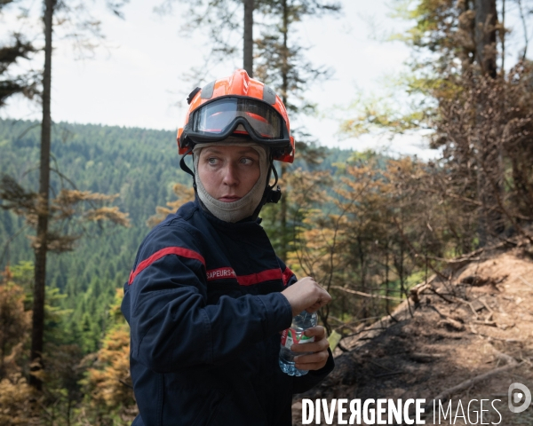 Feux de foret - Vosges