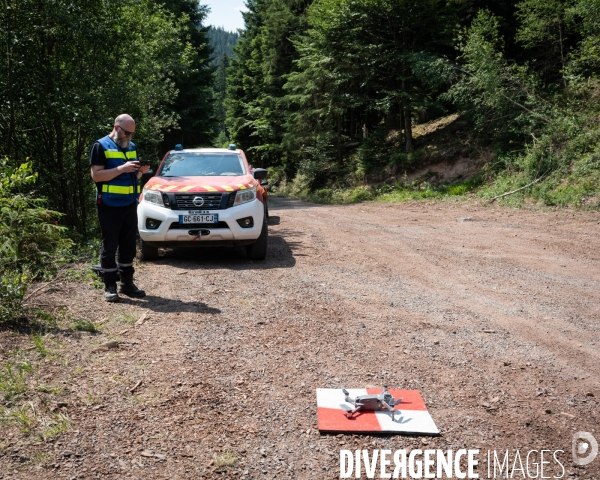 Feux de foret - Vosges