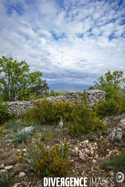 Le Mur de la Peste.