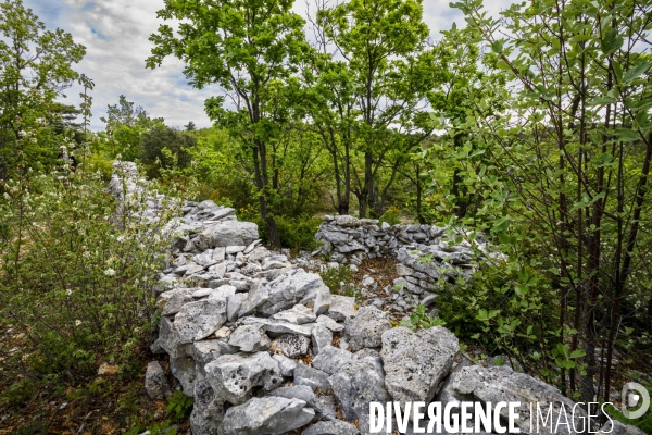 Le Mur de la Peste.