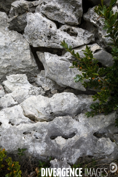 Le Mur de la Peste.