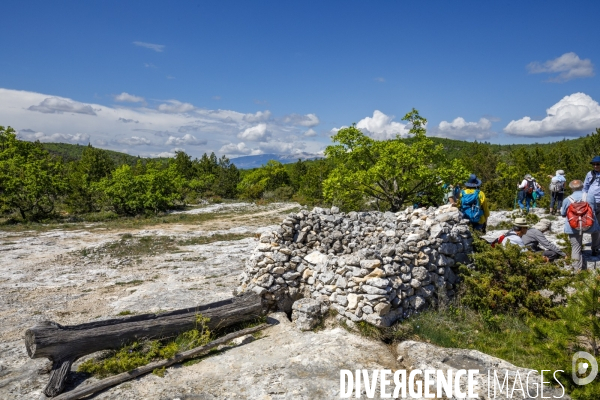 Le Mur de la Peste.