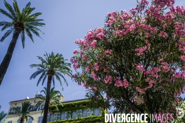 Une après-midi à Saint-Tropez