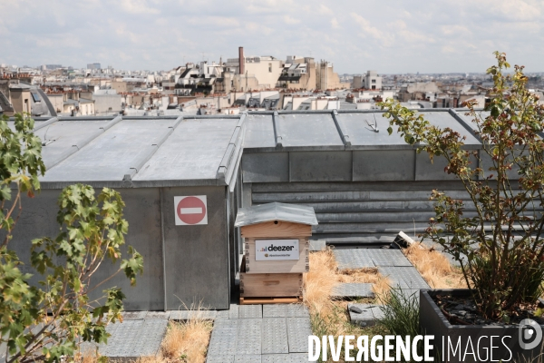 Deezer france
