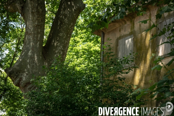 Espace naturel sensible de Verdun sur le Doubs
