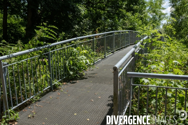Espace naturel sensible de Verdun sur le Doubs
