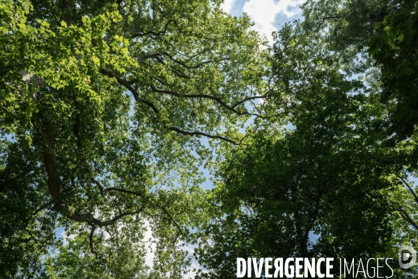 Espace naturel sensible de Verdun sur le Doubs