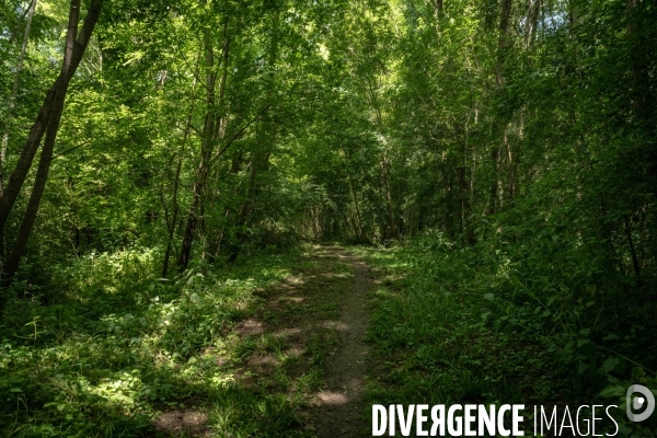 Espace naturel sensible de Verdun sur le Doubs