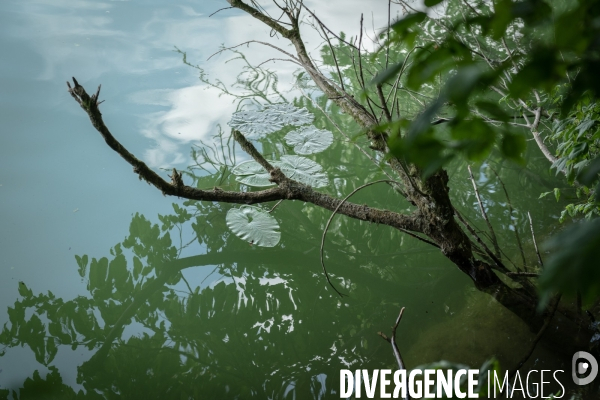 Espace naturel sensible de Verdun sur le Doubs