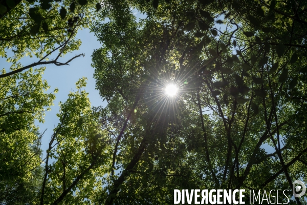 Espace naturel sensible de Verdun sur le Doubs