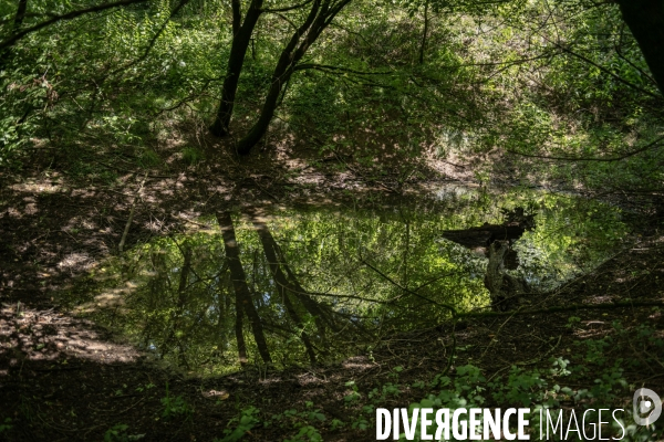 Espace naturel sensible de Verdun sur le Doubs