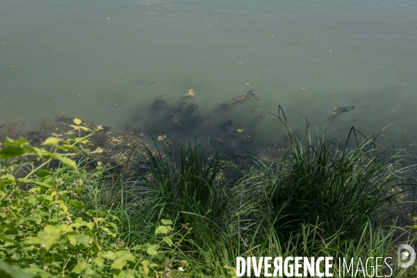Espace naturel sensible de Verdun sur le Doubs