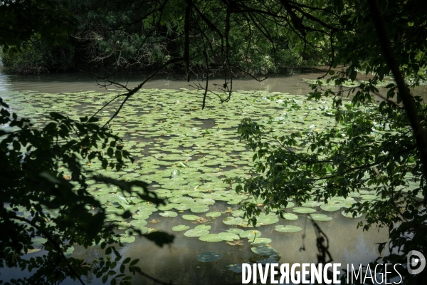 Espace naturel sensible de Verdun sur le Doubs