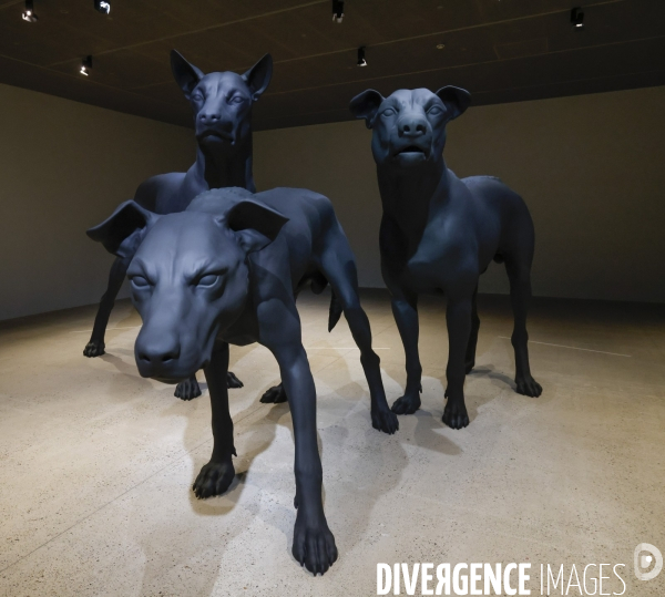 Exposition ron mueck a la fondation cartier