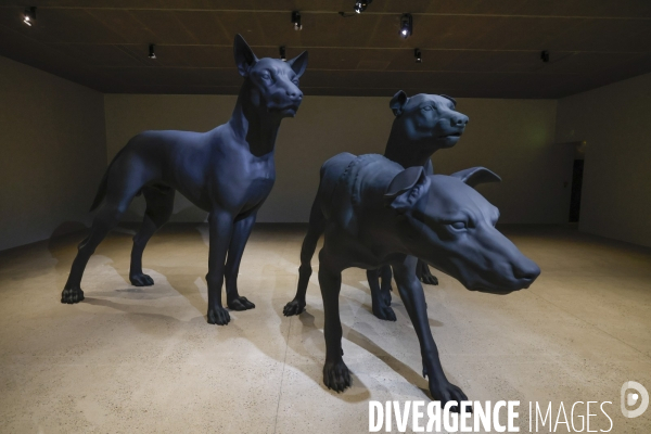 Exposition ron mueck a la fondation cartier