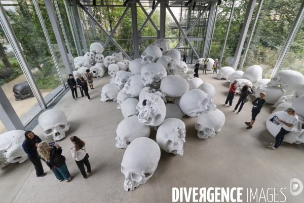 Exposition ron mueck a la fondation cartier