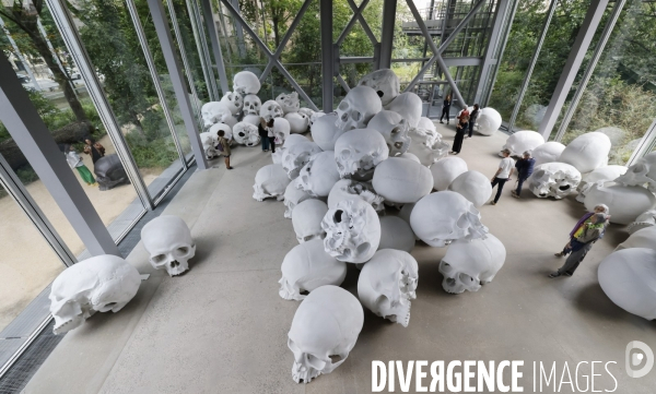 Exposition ron mueck a la fondation cartier