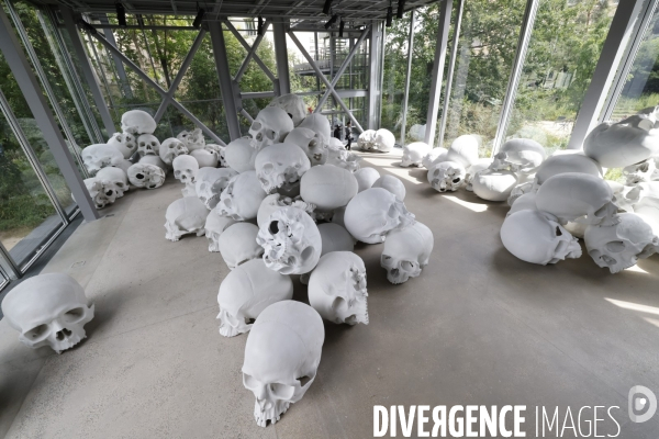 Exposition ron mueck a la fondation cartier