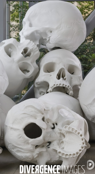 Exposition ron mueck a la fondation cartier