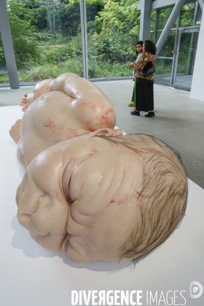Exposition ron mueck a la fondation cartier