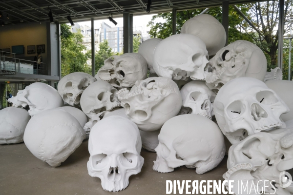 Exposition ron mueck a la fondation cartier