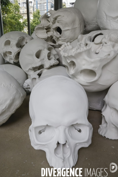 Exposition ron mueck a la fondation cartier