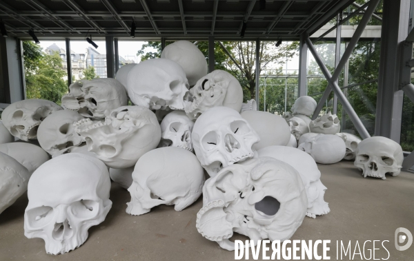 Exposition ron mueck a la fondation cartier