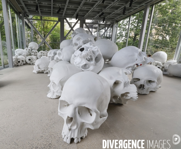 Exposition ron mueck a la fondation cartier