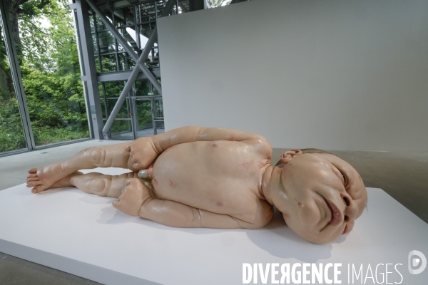 Exposition ron mueck a la fondation cartier