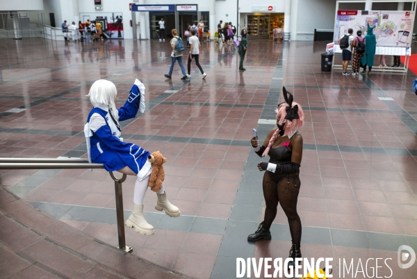 Salon Japan Expo , Paris 2023