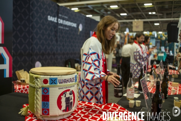 Salon Japan Expo , Paris 2023