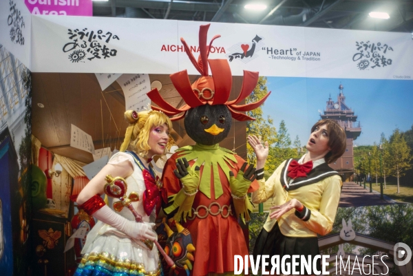 Salon Japan Expo , Paris 2023