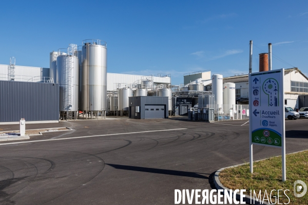 Fabrication de mozzarella industrielle